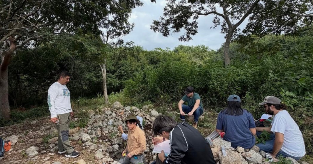 Proyecto Laboratorio de Arqueología UADY - feed de Instagram